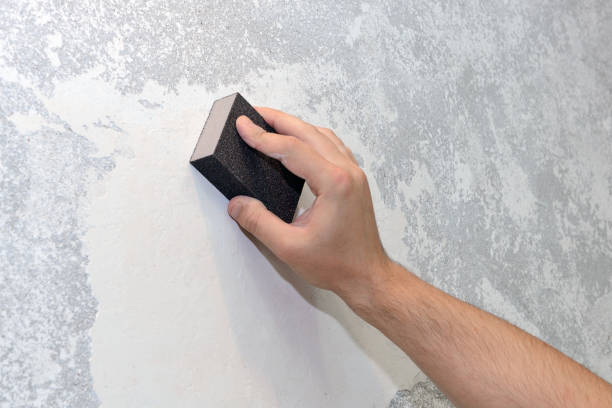 Best Real Estate Mold Inspection  in Superior, CO