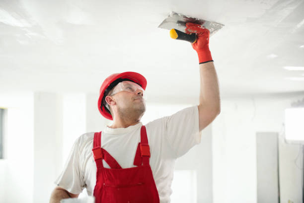 Best Mold Removal for HVAC Installations  in Superior, CO