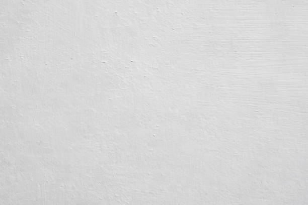 Best Mold Damage Restoration  in Superior, CO