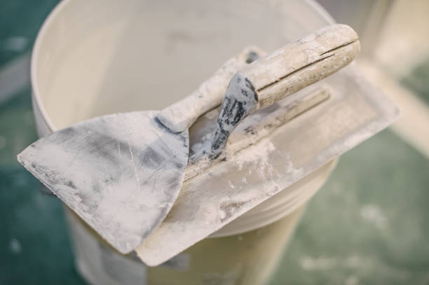  Superior, CO Mold Removal Pros