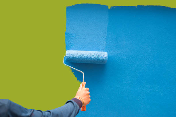 Best Commercial Mold Inspection  in Superior, CO