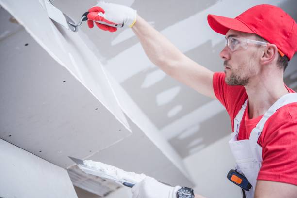 Best Basement Mold Removal  in Superior, CO